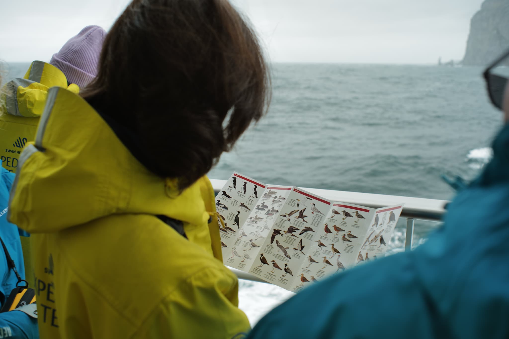 Crossing the Drake Passage